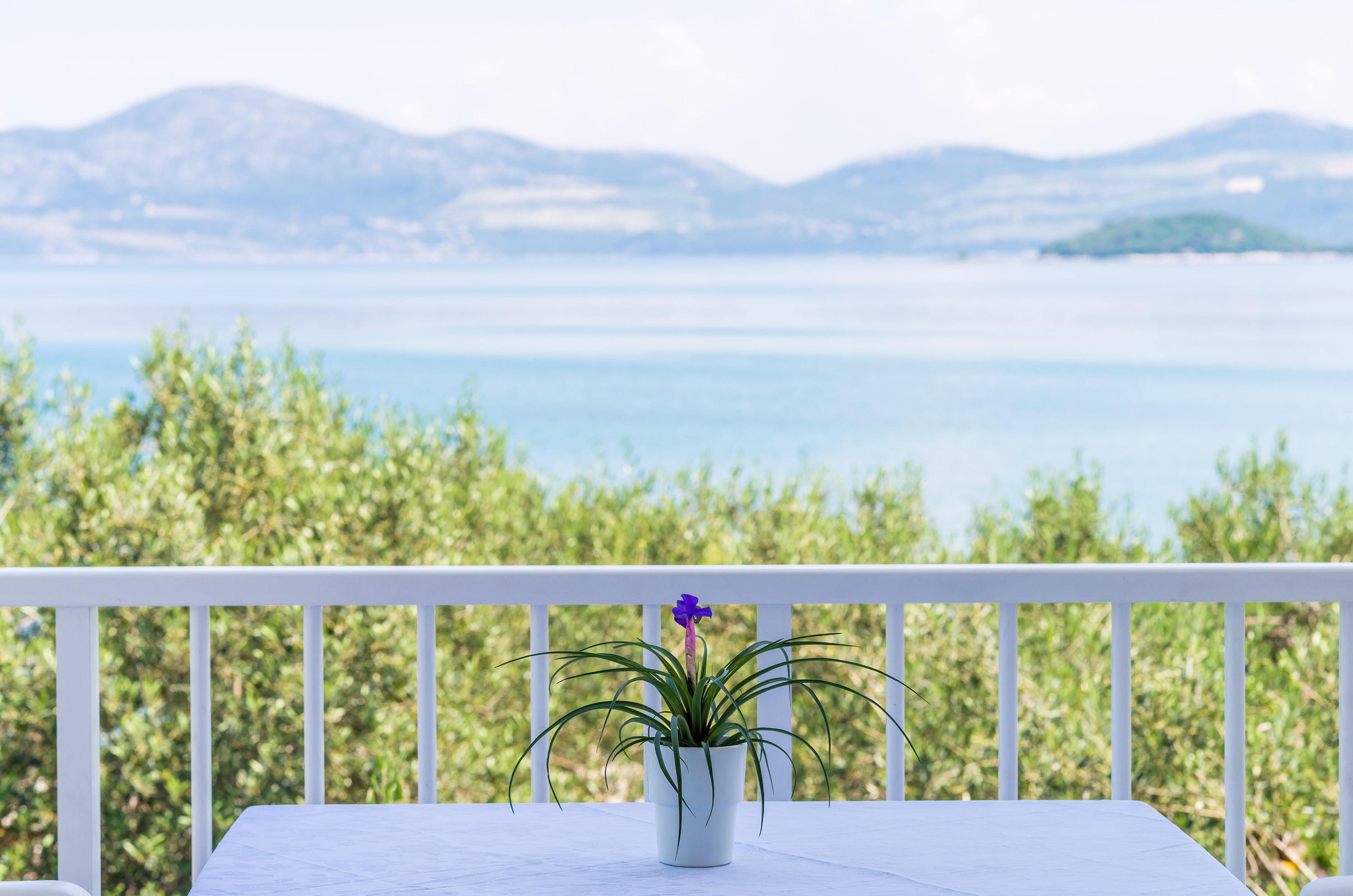 Apartments Glavor - One Bedroom Apartment with Bal   Insel Peljesac